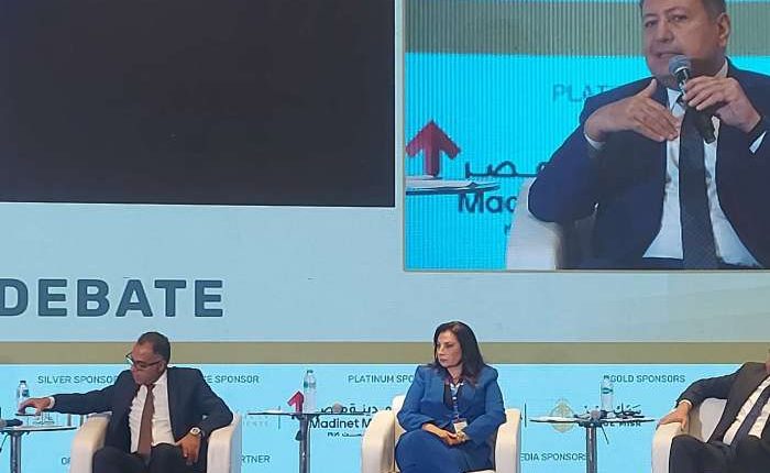 هند فهمي، رئيس قطاع الشمول المالي والتطوير العقاري في بنك مصر