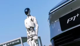 iron