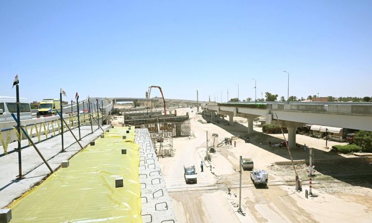 محور اللواء عمر سليمان